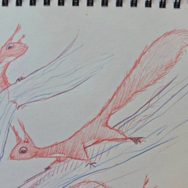 Got a moment to myself during a chaotic (but fun) trip to Scotland. Drew squirrels. 

#glentressforest #redsquirrel  #sketcbookart